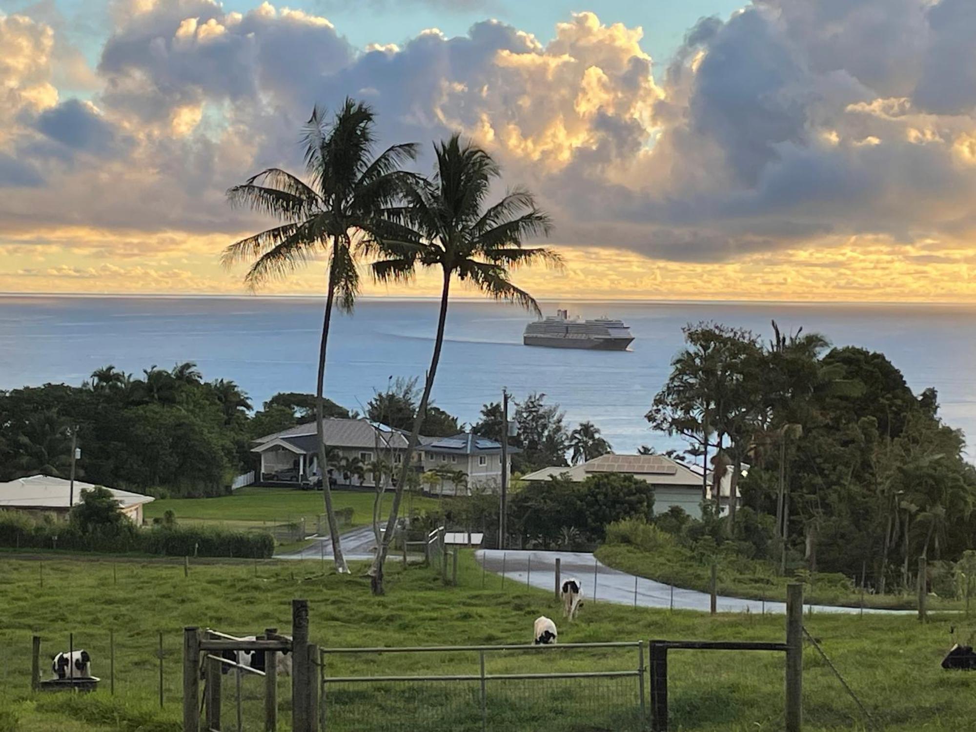 Hawaii Magic Skies Farmstay Paukaa Εξωτερικό φωτογραφία